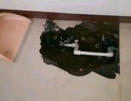 广安市卫生间测漏水多少钱